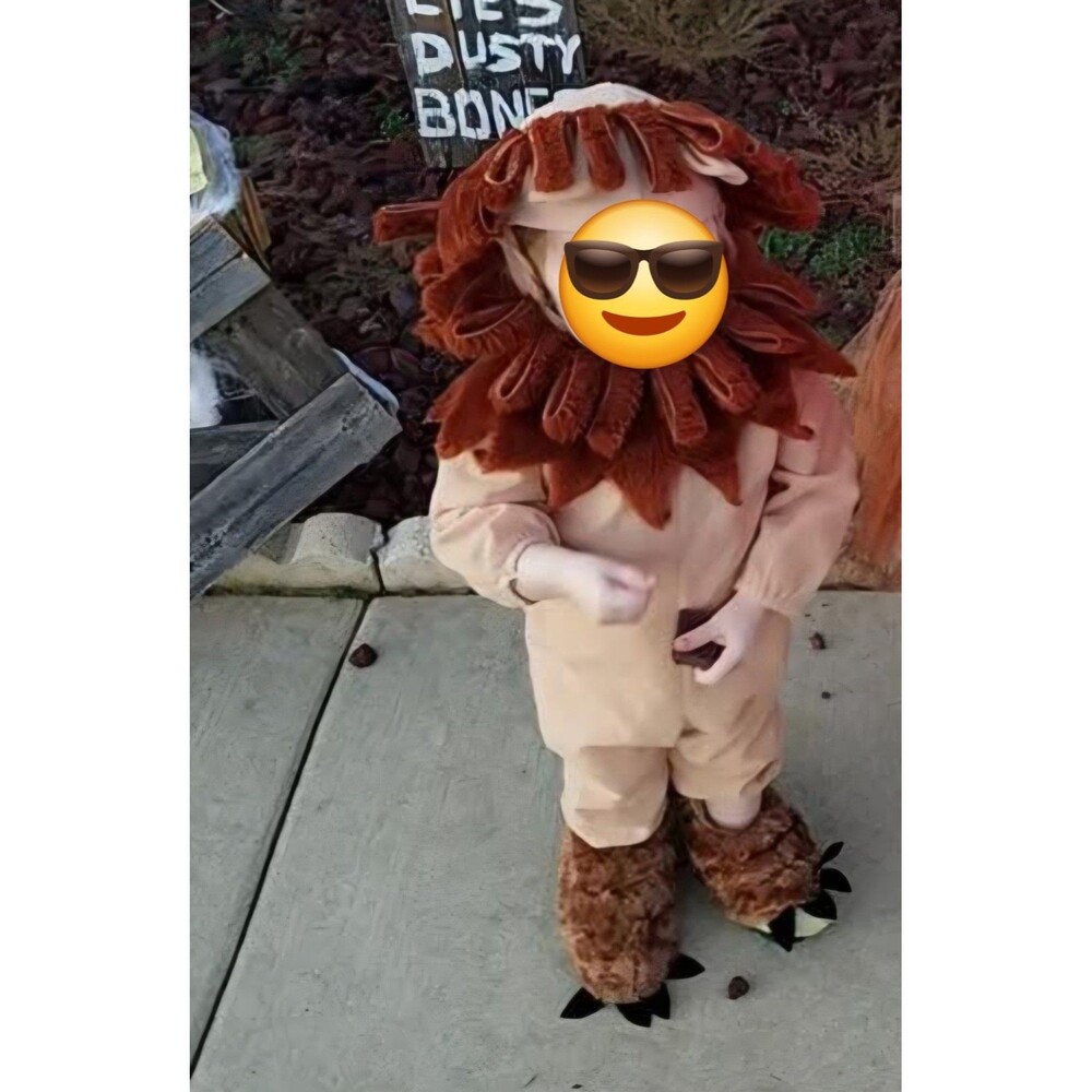 Vintage Disguise Inc Halloween Wee Ones Baby Lion Costume Romper Plush 12-18 Mo